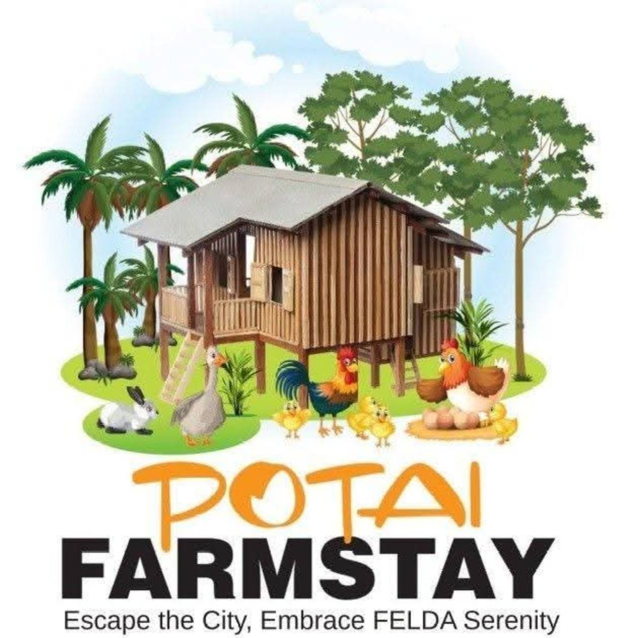Potai Farmstay — Escape the City, Embrace FELDA Serenity